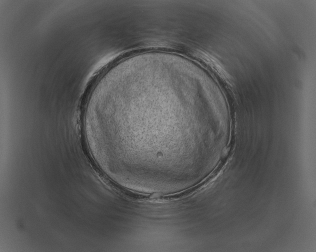 X0000116631164200912241807