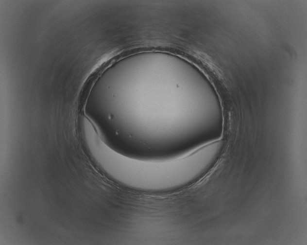 X0000116631165200912241807