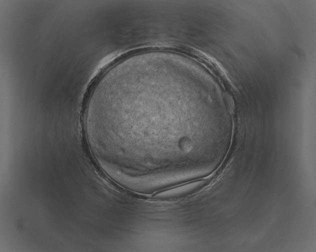 X0000116631168200912241807