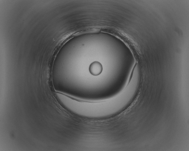 X0000116631169200912241806