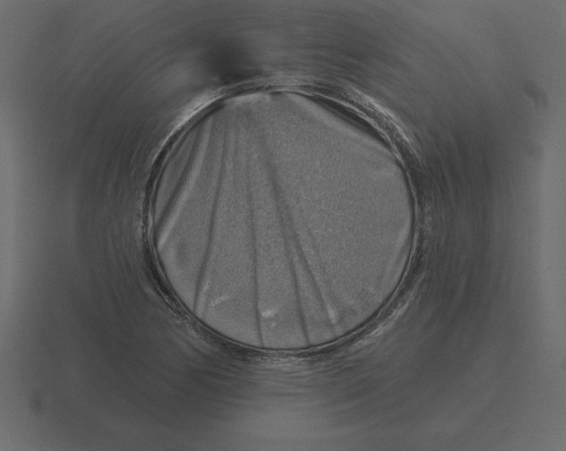 X0000116631170200912241806