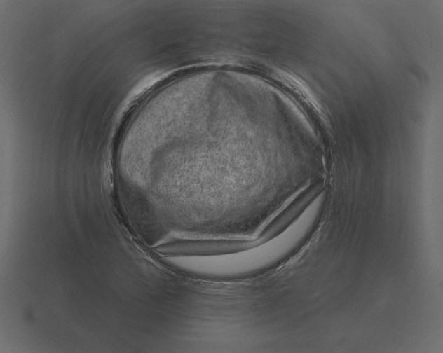 X0000116631172200912241806