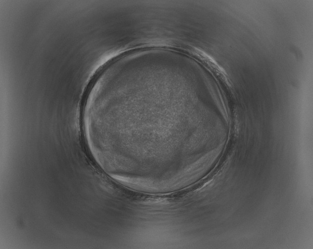 X0000116631174200912241806