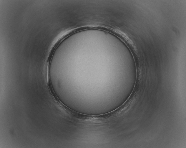 X0000116631175200912241806