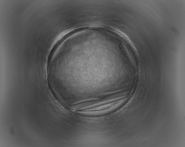 X0000116631176200912241806