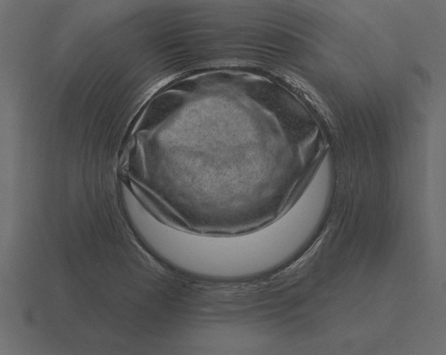 X0000116631177200912241806