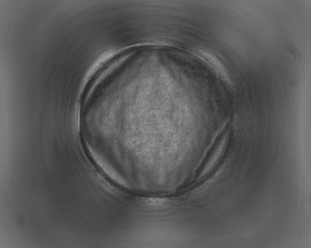 X0000116631180200912241806