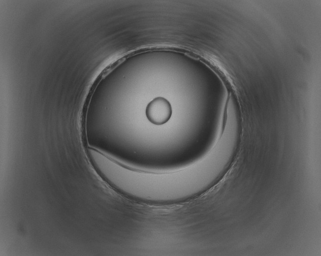 X0000116631181200912241806