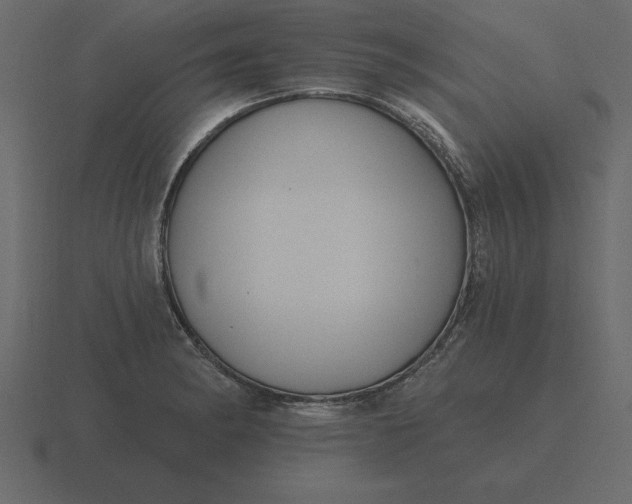 X0000116631182200912241806