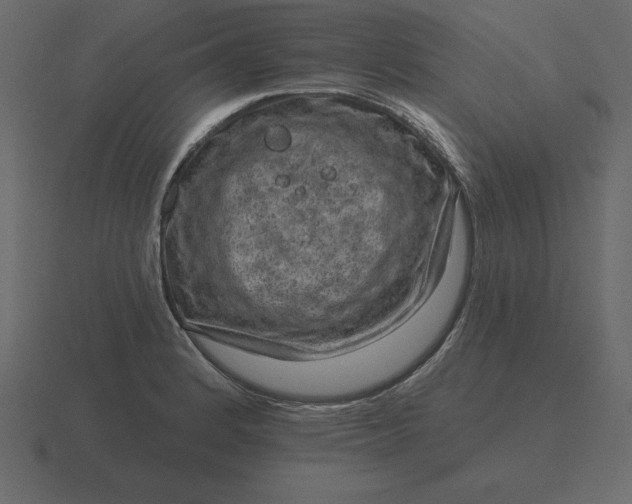 X0000116631184200912241806