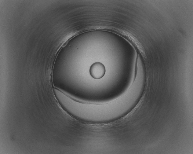 X0000116631185200912241806