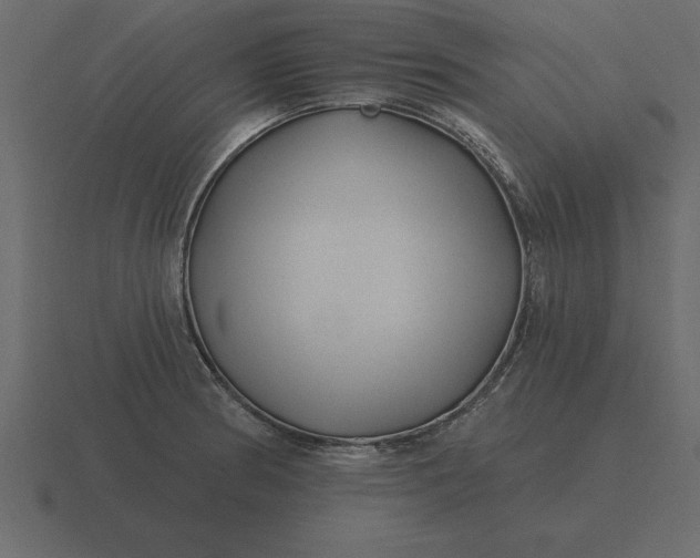 X0000116631186200912241806