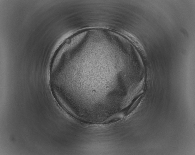 X0000116631188200912241806