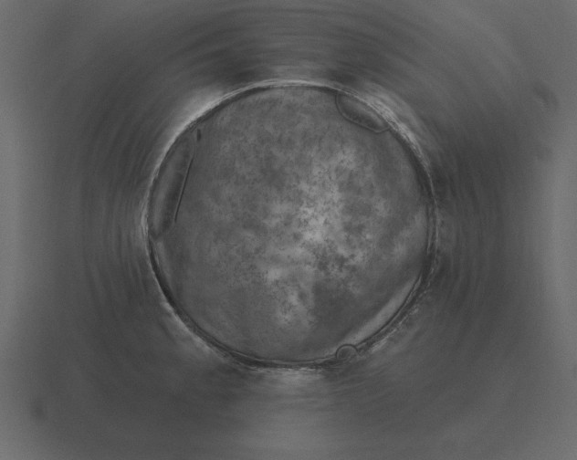 X0000116631189200912241806