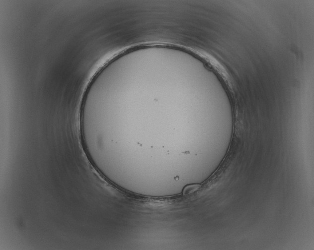 X0000116631191200912241806