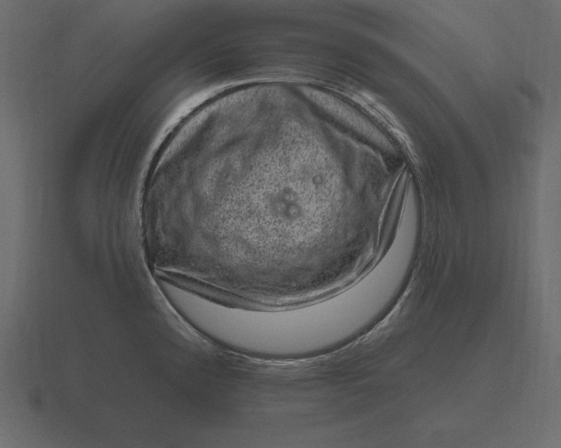 X0000116631192200912241806