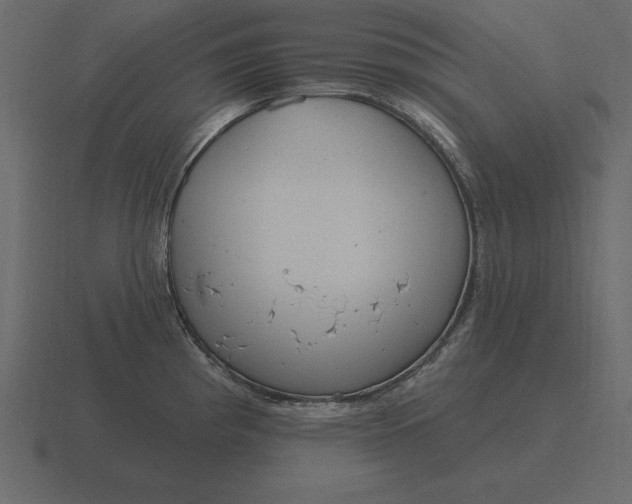 X0000116631193200912241806