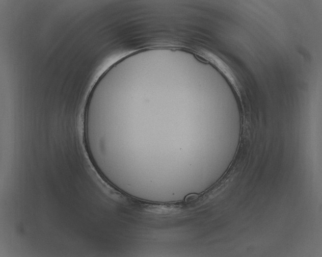 X0000116631195200912241806