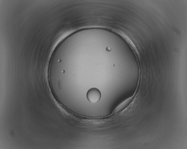 X0000116631197200912241806