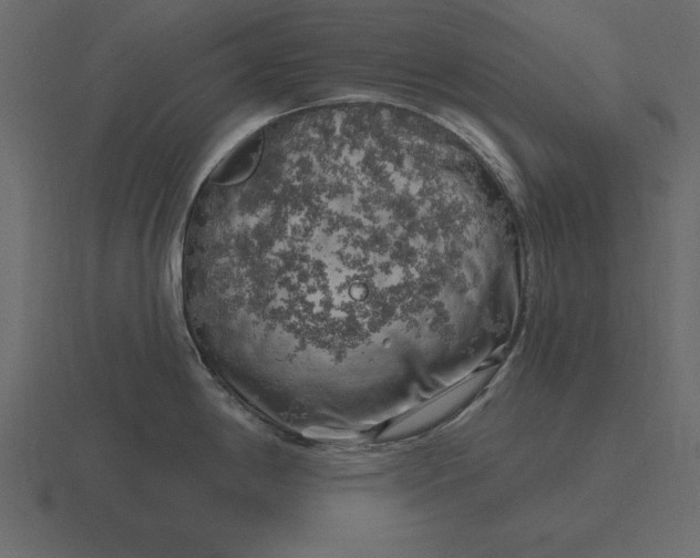 X0000116631198200912241806