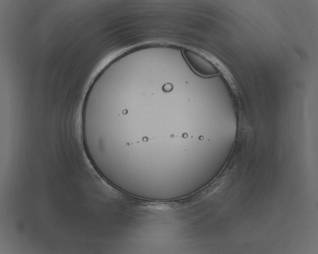 X0000116631199200912241806