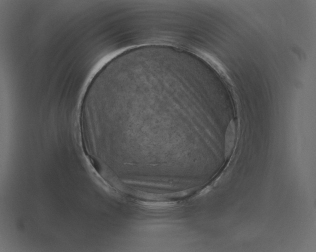 X0000116631200200912241806