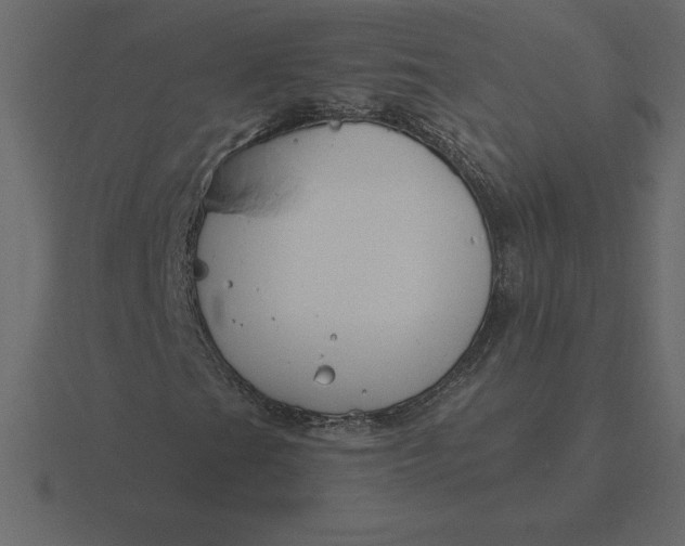 X0000116631201200912241806