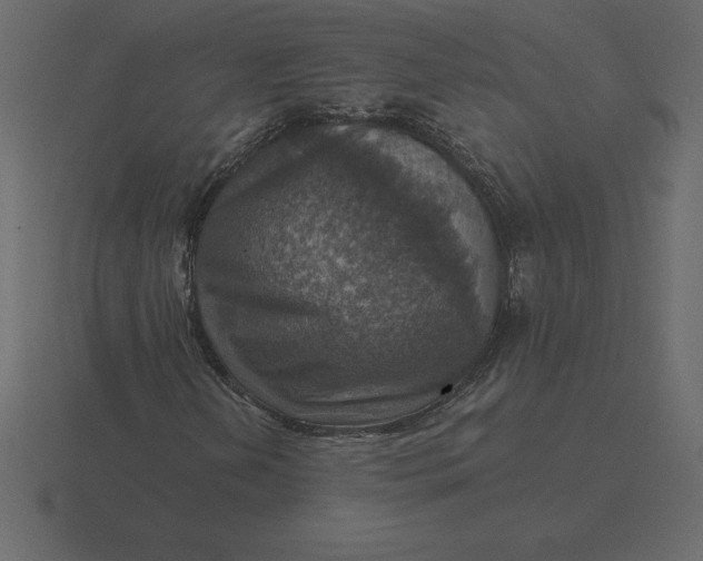 X0000116631202200912241806