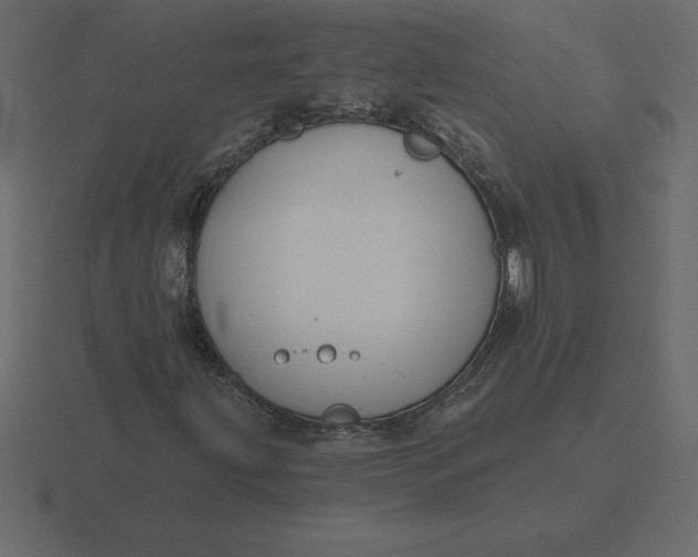 X0000116631203200912241806