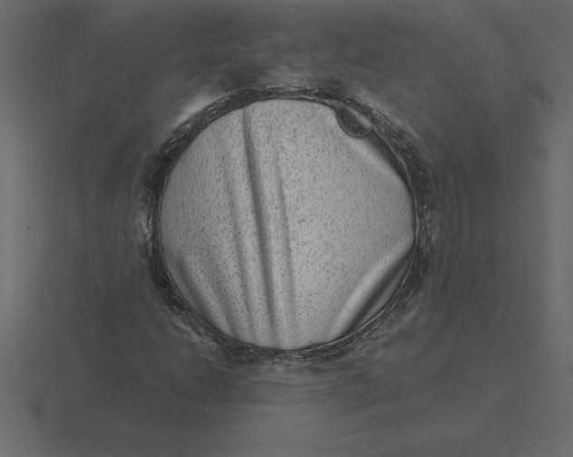 X0000116631206200912241806