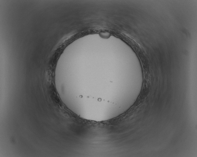 X0000116631207200912241806