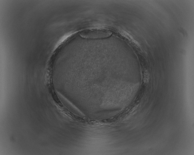 X0000116631208200912241806