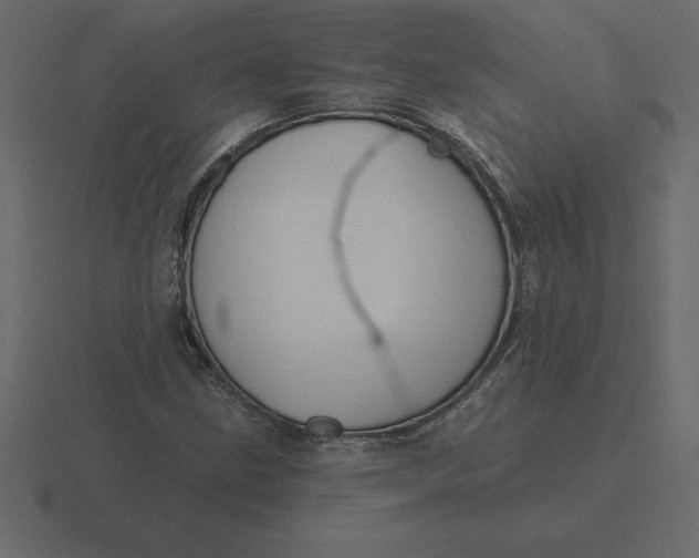 X0000116631211200912241806