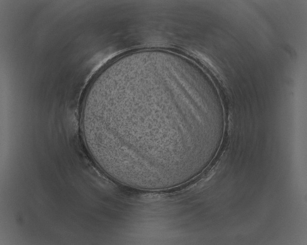 X0000116631212200912241806