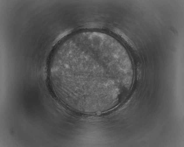 X0000116631213200912241806