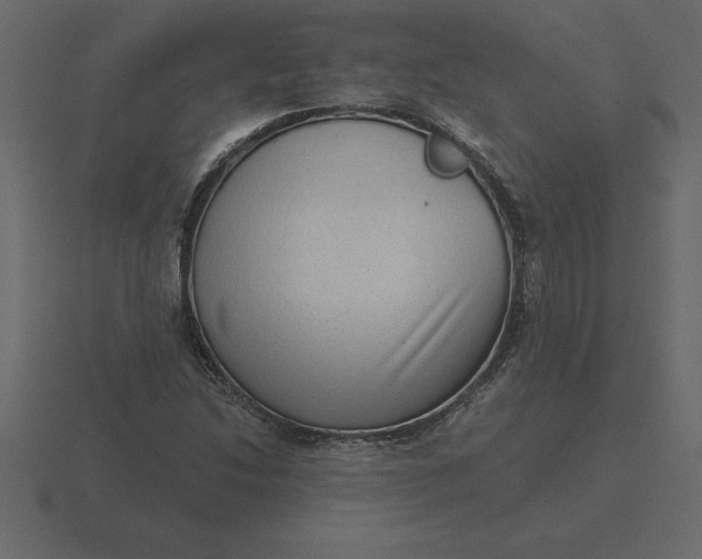 X0000116631214200912241806