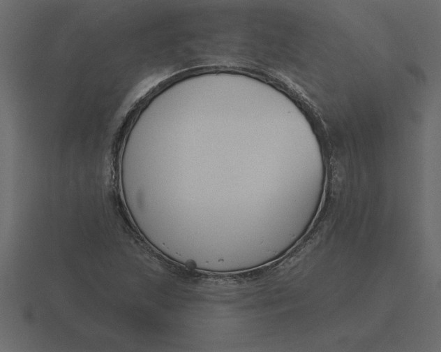 X0000116631215200912241806