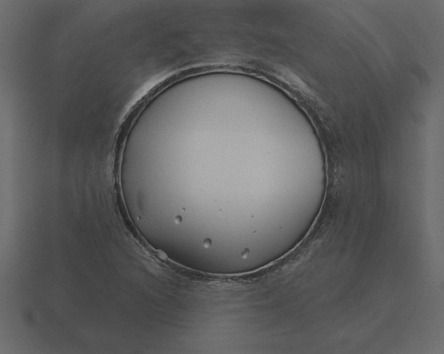 X0000116631216200912241806