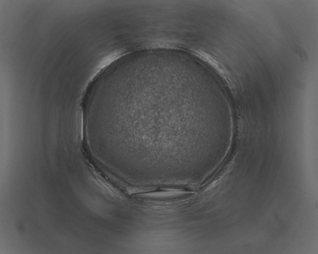 X0000116631219200912241806