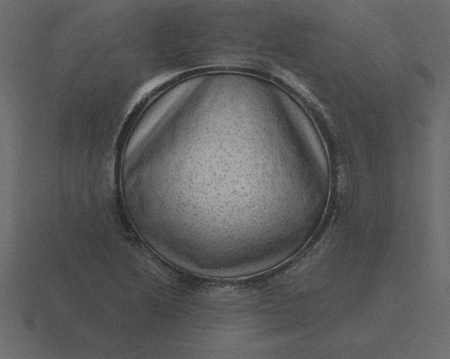 X0000116631222200912241806