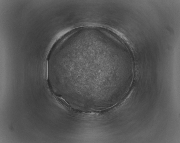 X0000116631223200912241806