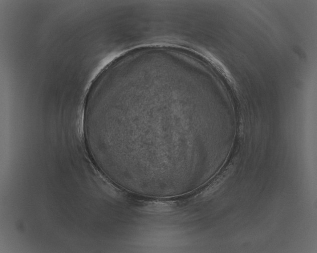 X0000116631224200912241806