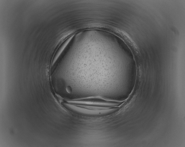 X0000116631225200912241806