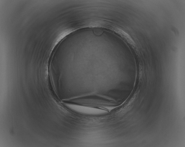 X0000116631226200912241806