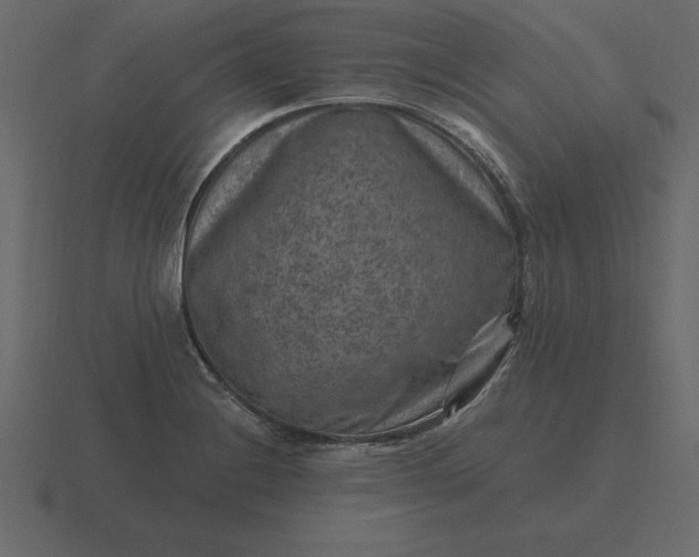 X0000116631228200912241806