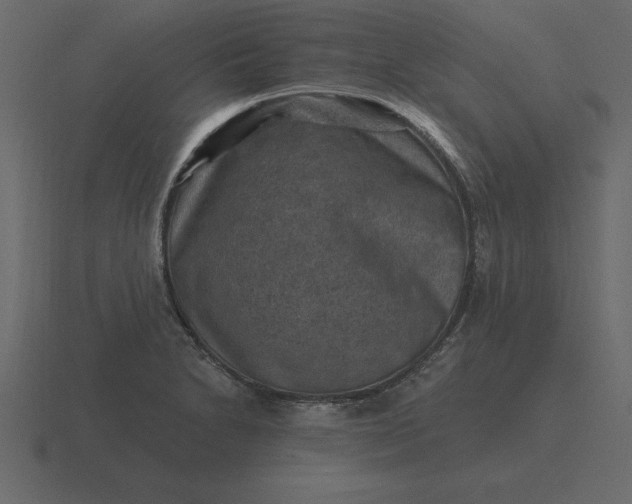 X0000116631230200912241806