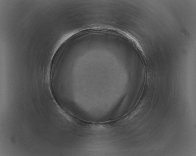 X0000116631231200912241806