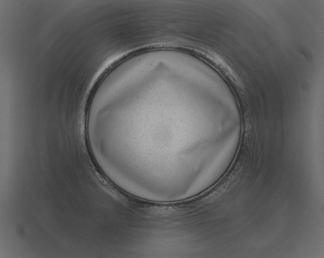 X0000116631232200912241806