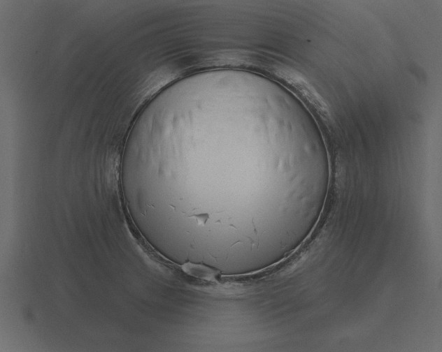 X0000116631233200912241806