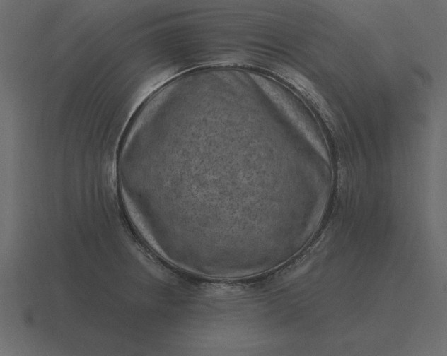 X0000116631234200912241806